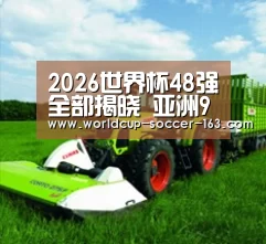 关于2026世界杯赛程