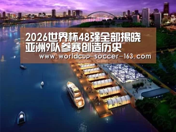 案例展示八