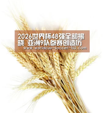 2026世界杯48强全部揭晓 亚洲9队参赛创造历史