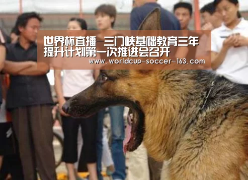 世界杯直播-三门峡基础教育三年提升计划第一次推进会召开(图4) 世界杯直播