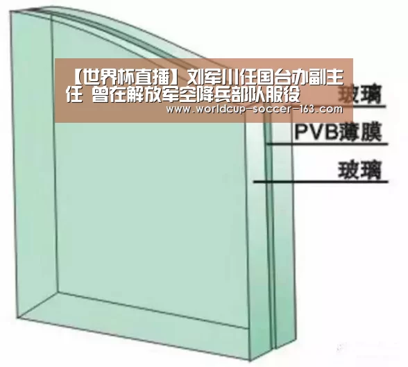 【世界杯直播】刘军川任国台办副主任 曾在解放军空降兵部队服役(图2) 2026世界杯赛程