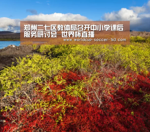 郑州二七区教体局召开中小学课后服务研讨会-世界杯直播(图2) 世界杯直播