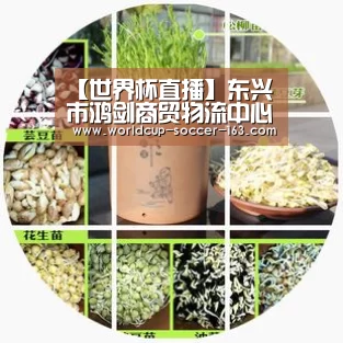 【世界杯直播】东兴市鸿剑商贸物流中心项目开工建设(图1) 世界杯直播