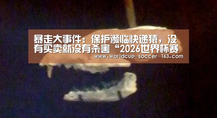 暴走大事件:保护濒临快递猿,没有买卖就没有杀害“2026世界杯赛程”(图1) 2026世界杯赛程