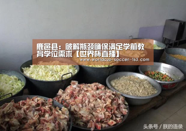 鹿邑县:破解瓶颈确保满足学前教育学位需求【世界杯直播】(图1) 2026世界杯赛程
