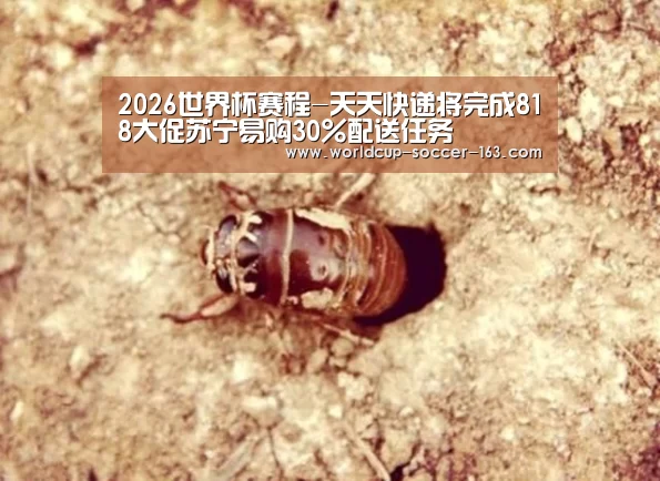2026世界杯赛程-天天快递将完成818大促苏宁易购30%配送任务(图1) 2026世界杯赛程