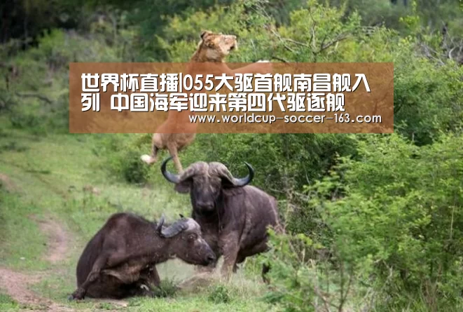世界杯直播