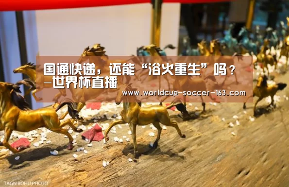 国通快递,还能“浴火重生”吗?-世界杯直播(图1) 2026世界杯赛程