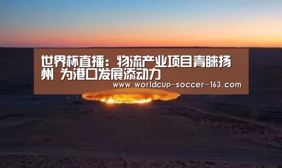 世界杯直播:物流产业项目青睐扬州 为港口发展添动力(图4) 世界杯直播